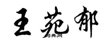 胡問遂王苑郁行書個性簽名怎么寫