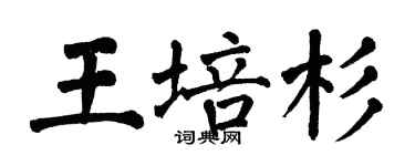翁闓運王培杉楷書個性簽名怎么寫