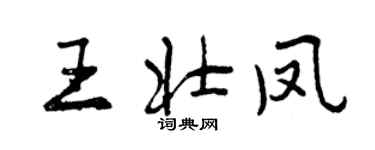 曾慶福王壯鳳行書個性簽名怎么寫