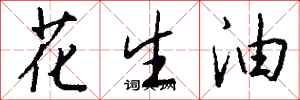 錢沛雲花生油行書怎么寫