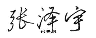 駱恆光張澤宇行書個性簽名怎么寫