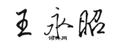 駱恆光王永昭行書個性簽名怎么寫