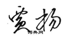 駱恆光賈楊草書個性簽名怎么寫