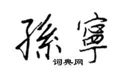 王正良孫寧行書個性簽名怎么寫