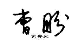 朱錫榮曹盼草書個性簽名怎么寫