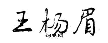 曾慶福王楊眉行書個性簽名怎么寫