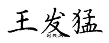 丁謙王發猛楷書個性簽名怎么寫