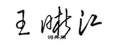 駱恆光王晰江草書個性簽名怎么寫