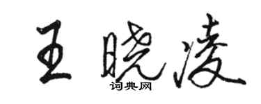 駱恆光王曉凌行書個性簽名怎么寫