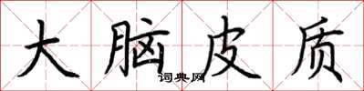 荊霄鵬大腦皮質楷書怎么寫