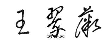 駱恆光王翠薇草書個性簽名怎么寫
