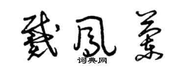 曾慶福戴鳳蘭草書個性簽名怎么寫