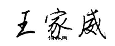 王正良王家威行書個性簽名怎么寫