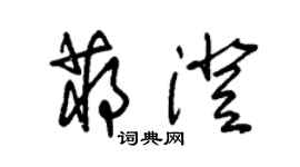 朱錫榮蔣澄草書個性簽名怎么寫