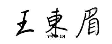 王正良王東眉行書個性簽名怎么寫