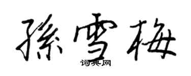 王正良孫雪梅行書個性簽名怎么寫