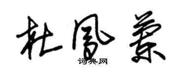 朱錫榮杜鳳蘭草書個性簽名怎么寫
