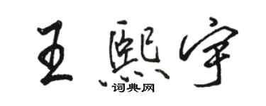 駱恆光王熙宇行書個性簽名怎么寫