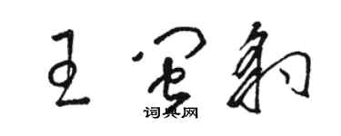 駱恆光王閩豹草書個性簽名怎么寫