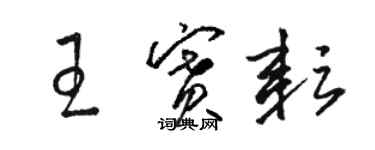 駱恆光王賽耘草書個性簽名怎么寫