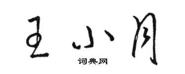 駱恆光王小月草書個性簽名怎么寫