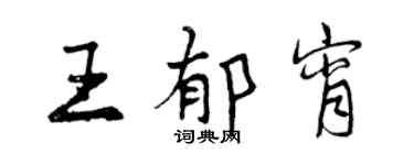 曾慶福王郁宵行書個性簽名怎么寫