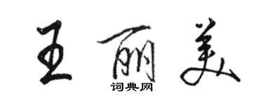 駱恆光王麗美行書個性簽名怎么寫