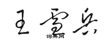 駱恆光王雪兵草書個性簽名怎么寫