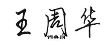 駱恆光王周華行書個性簽名怎么寫