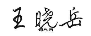 駱恆光王曉岳行書個性簽名怎么寫