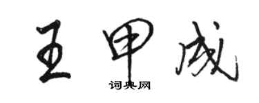 駱恆光王甲成行書個性簽名怎么寫