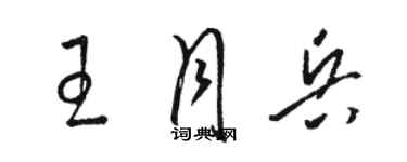 駱恆光王月兵草書個性簽名怎么寫