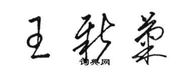 駱恆光王新菊草書個性簽名怎么寫