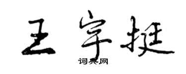 曾慶福王宇挺行書個性簽名怎么寫