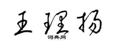 梁錦英王理揚草書個性簽名怎么寫