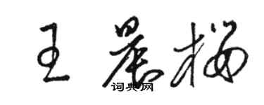 駱恆光王晨櫻草書個性簽名怎么寫