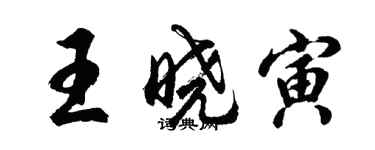 胡問遂王曉寅行書個性簽名怎么寫