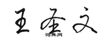 駱恆光王聖文行書個性簽名怎么寫