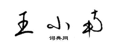 梁錦英王小南草書個性簽名怎么寫