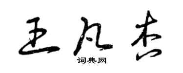 曾慶福王凡杏草書個性簽名怎么寫