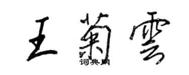 王正良王菊雲行書個性簽名怎么寫