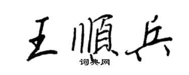 王正良王順兵行書個性簽名怎么寫