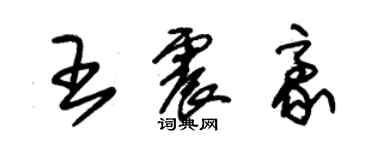 朱錫榮王震豪草書個性簽名怎么寫