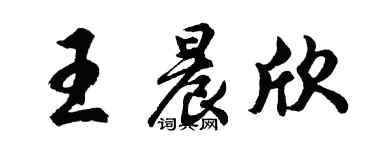胡問遂王晨欣行書個性簽名怎么寫