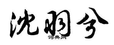 胡問遂沈羽兮行書個性簽名怎么寫