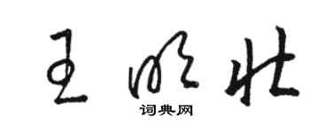 駱恆光王明壯草書個性簽名怎么寫