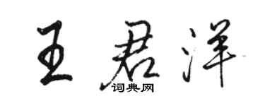 駱恆光王君洋行書個性簽名怎么寫