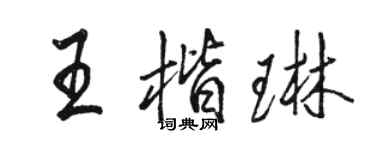 駱恆光王楷琳行書個性簽名怎么寫