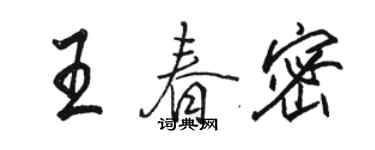 駱恆光王春密行書個性簽名怎么寫