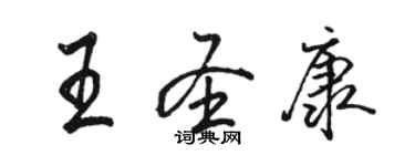 駱恆光王聖康行書個性簽名怎么寫